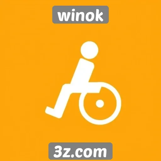 Acessibilidade no site de jogos Winok em debate